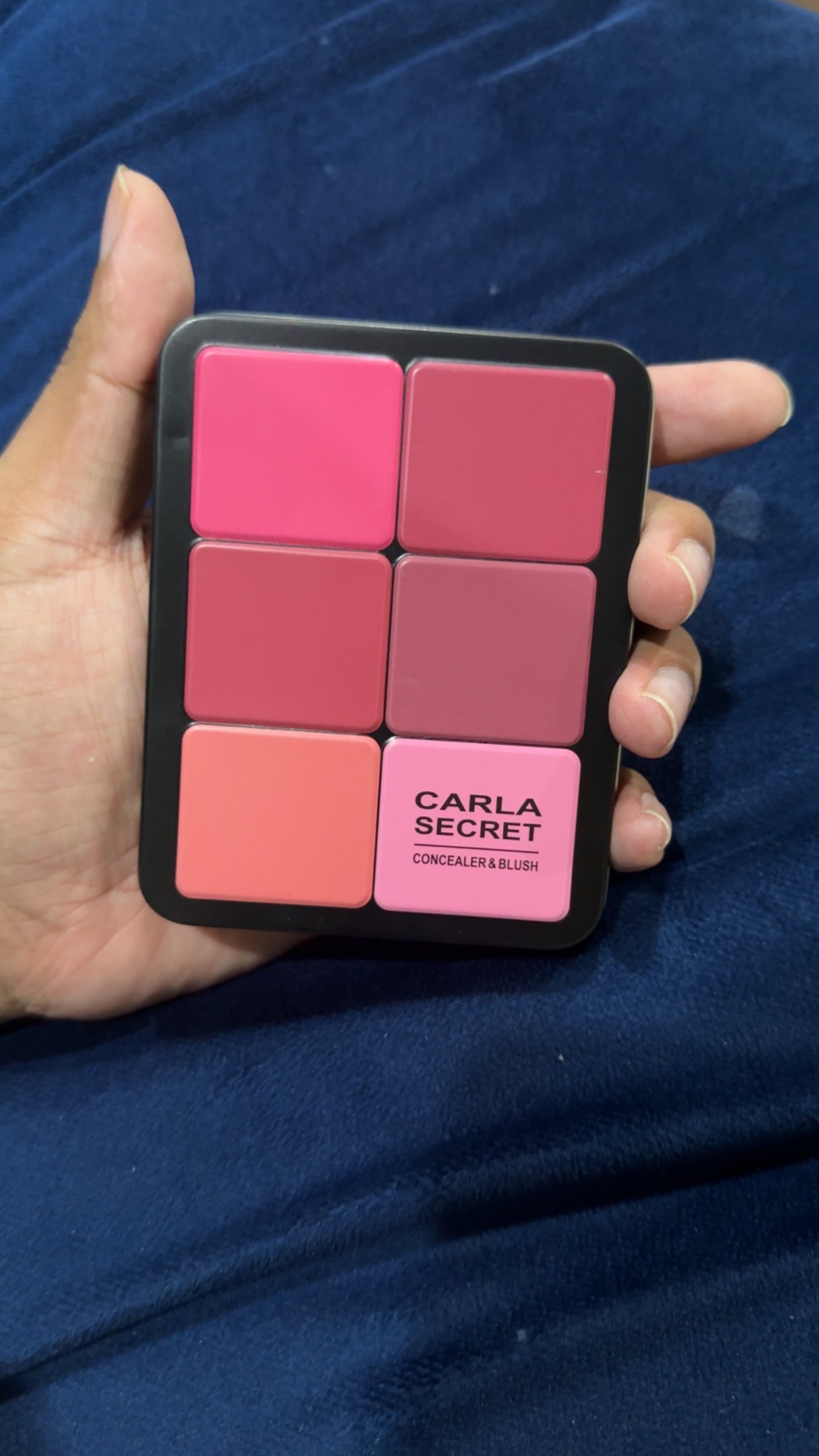 CARLA SECRET CREAMY CONcelour + BLUSH PALETTE.