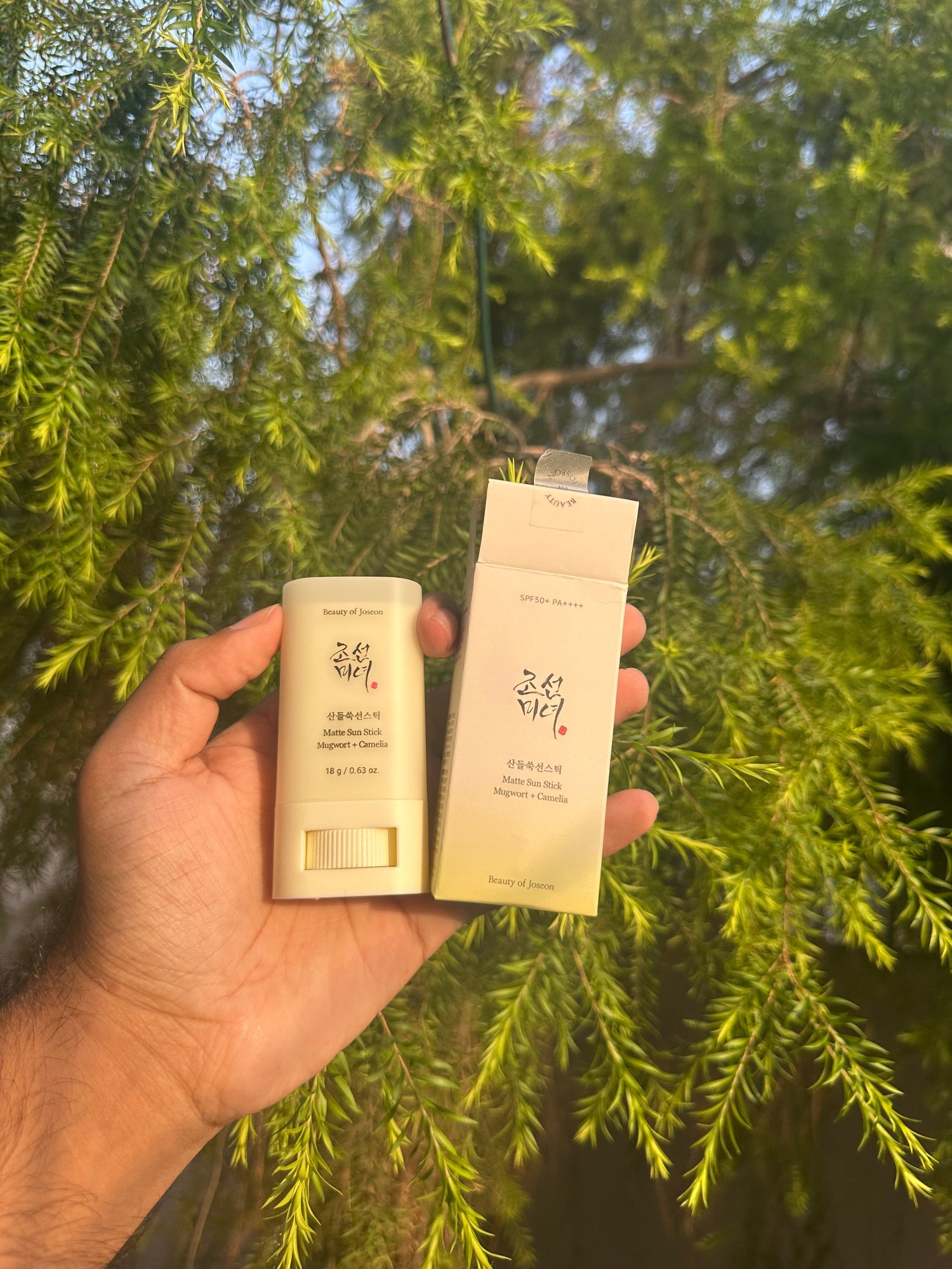 Beauty of Joseon Matte Sun Stick: Mugwort + Camellia (SPF 50+ PA++++)